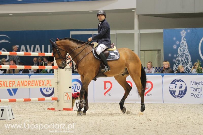 CAVALIADA 2013 w Poznaniu