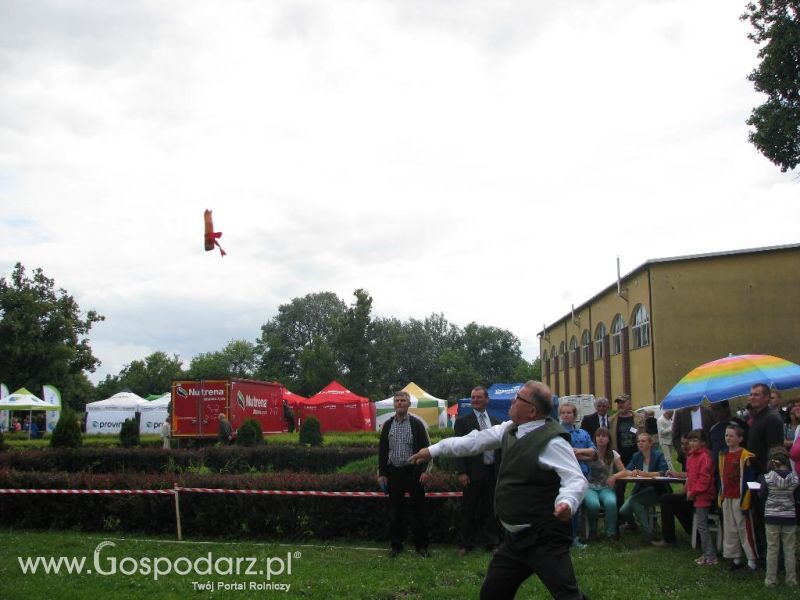 Festiwal Wieprzowiny w Koźminie Wielkopolskim 2013