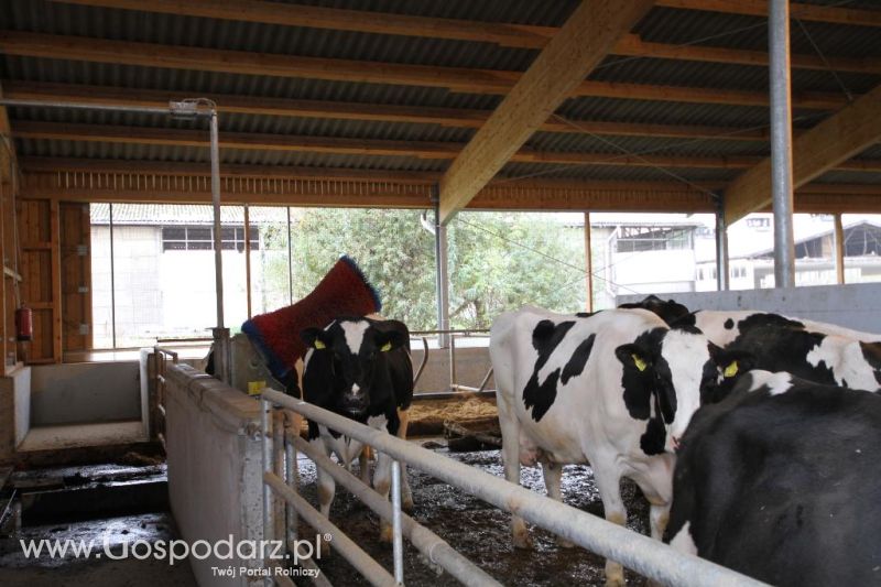 Wyjazd studyjny na farmę Langengrassau w Niemczech