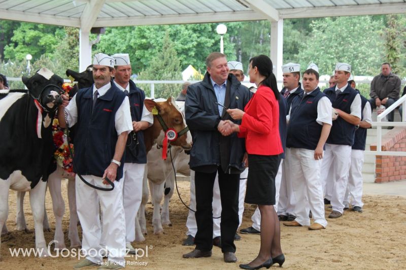 Prezentacja Championów na VII Ogólnopolskiej Wystawie Bydła Hodowlanego w Sielinku 2012