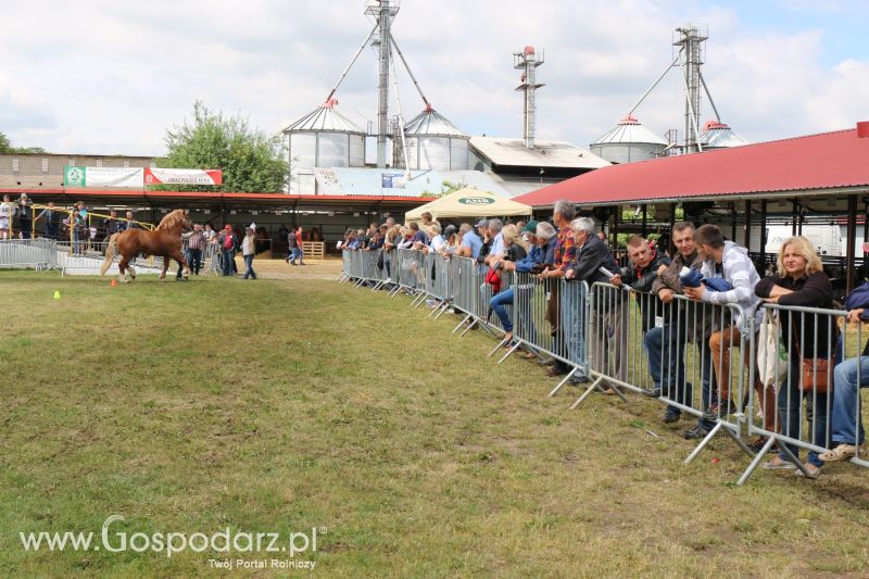 Regionalna Wystawa Zwierząt Hodowlanych i Dni z Doradztwem Rolniczym w Szepietowie 2017