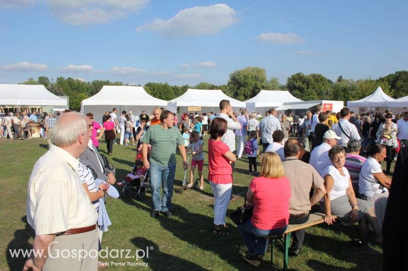 Świętomięs Polski w Chorzowie