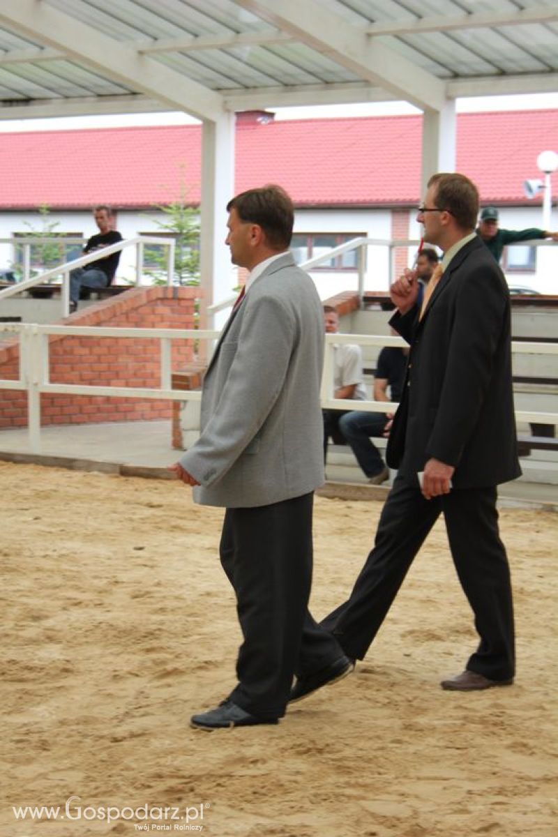 Wystawa bydła Sielinko 2011