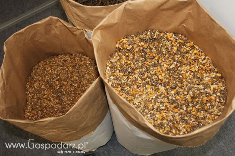 Relacja z XI Międzynarodowych Targów Fermy Bydła - dzień 2 c.d.