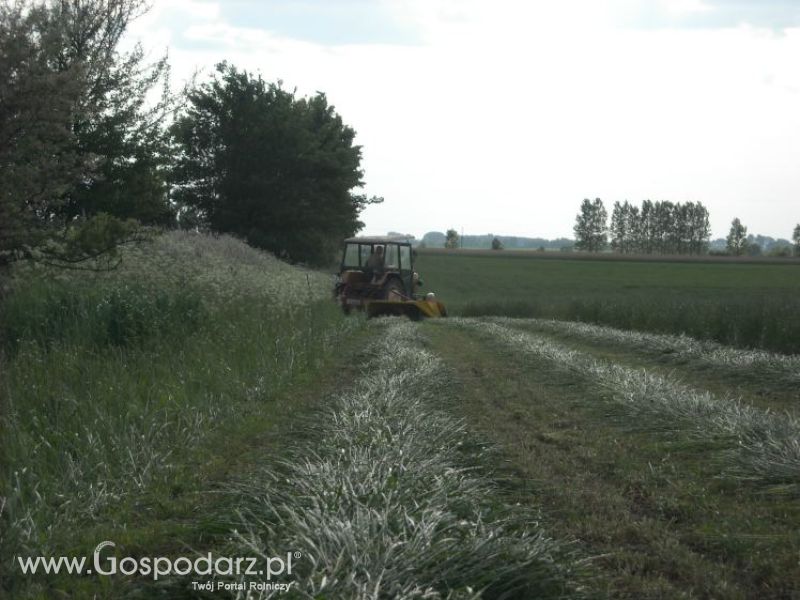 pierwsze sianokosy w roli głownej ursus c330M...