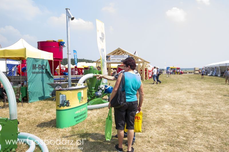 M-Rol na OPOLAGRZE 2015