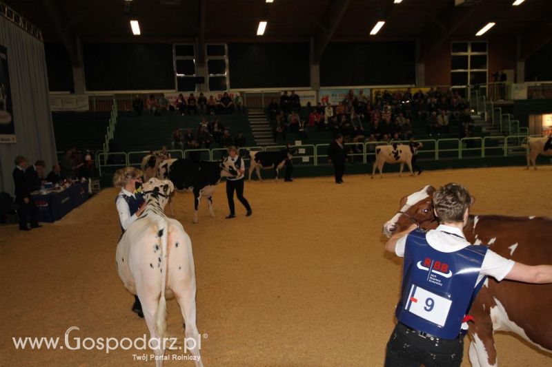 Wystawa  Blickpunkt Rind 2013 w miejscowości Paaren/Glien (Niemcy)