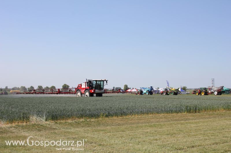 Polskie Zboża 2011 - Piątek 