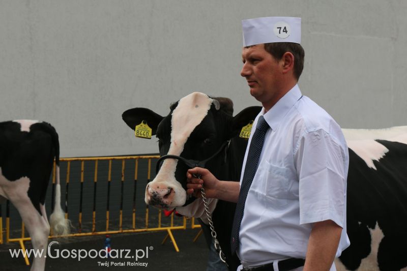 Krajowa Wystawa Zwierząt Hodowlanych w Poznaniu 2017 (sobota, 6 maja)