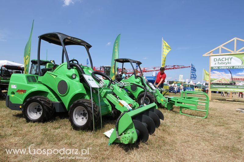 Serafin na OPOLAGRZE 2015