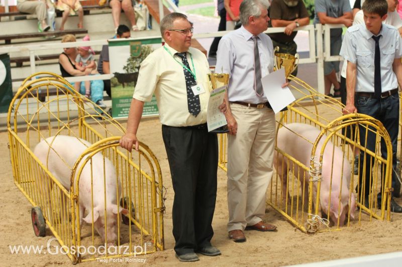 Zielone AGRO SHOW – POLSKIE ZBOŻA 2014 w Sielinku - niedziela