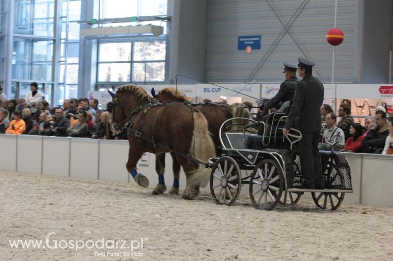 CAVALIADA 2013 w Poznaniu