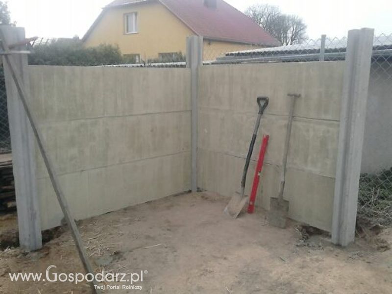 Moje zdjęcia