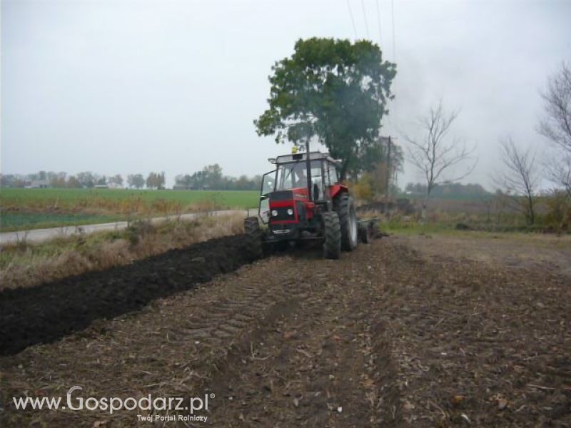 MrZgredy de luxa mają więc w polu sobie rade dają Orka Zimowa 2011