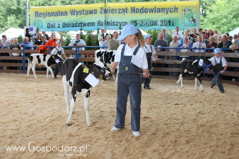Młody hodowca na XVIII Regionalnej Wystawie Zwierząt Hodowlanych w Szepietowie