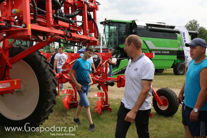 Maschio Gaspardo na Regionalnej Wystawie Zwierząt Hodowlanych i Dni z Doradztwem w Szepietowie 2017