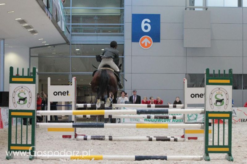 CAVALIADA 2013 w Poznaniu