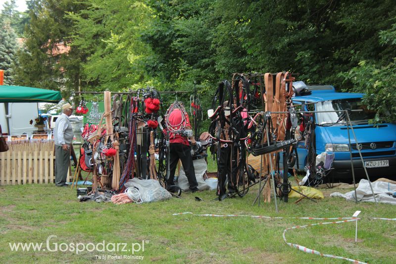 XX Targi Rolnicze Lubniewice 