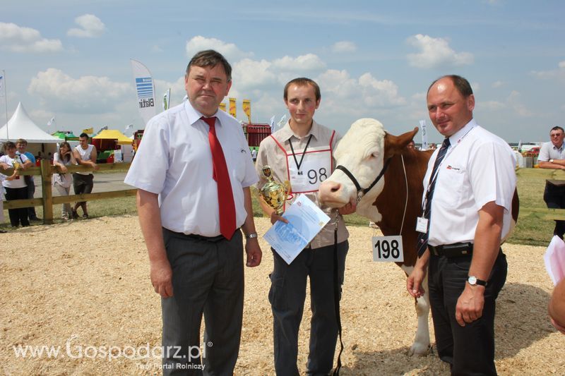Superchampioni i championi Śląskiej Wystawy Bydła Mlecznego Opolagra 2011