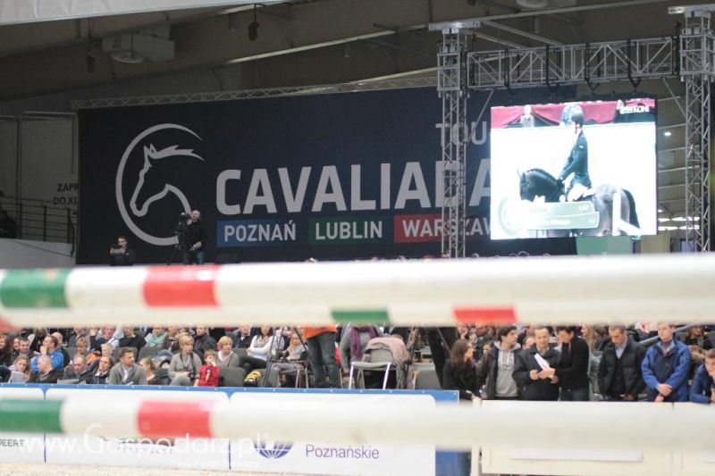 CAVALIADA 2013 w Poznaniu