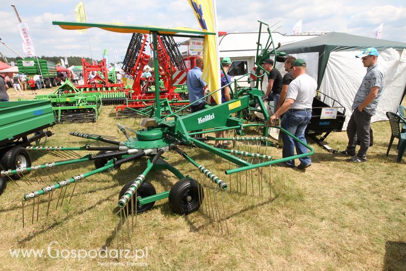 Kellfri na OPOLAGRZE 2016
