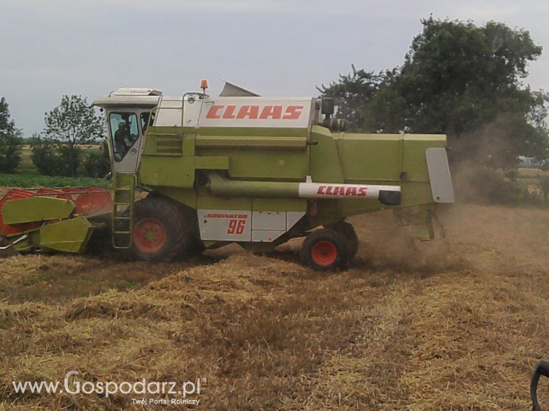 Żniwa 2011 CLAAS C-360 w roli głownej 