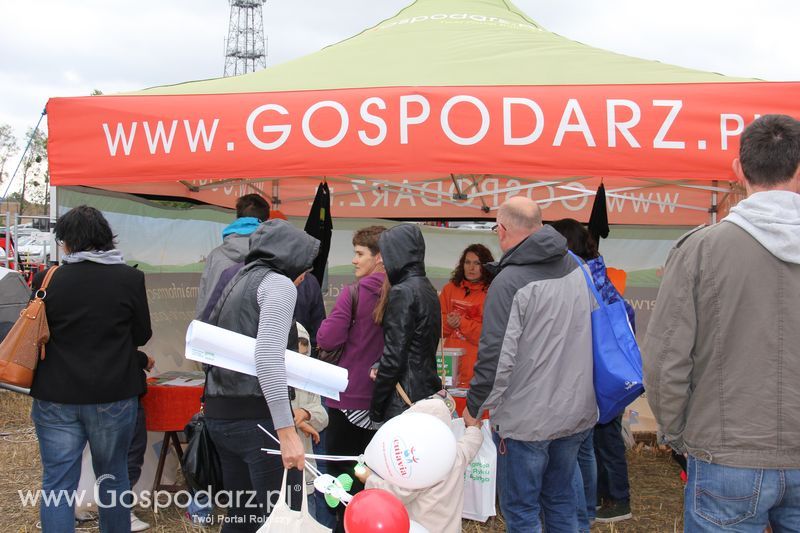 Targi AGRO-FARMA 2015 w Kowalewie Pomorskim - niedziela