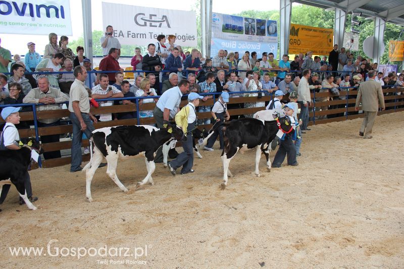 Młody hodowca na XVIII Regionalnej Wystawie Zwierząt Hodowlanych w Szepietowie