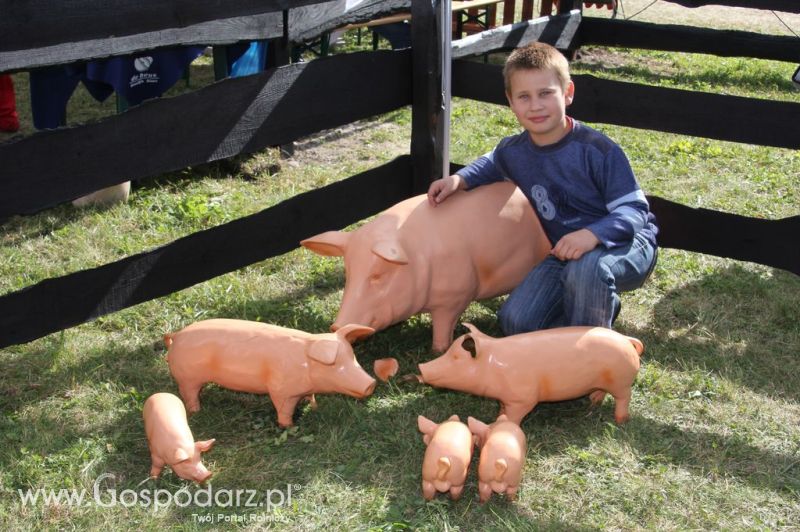  Agro Show 2012 - niedziela