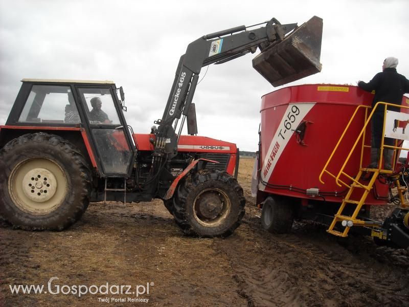 Dzień pracy rolnika-wizyta MrZgredy u MafiaOgiegooo