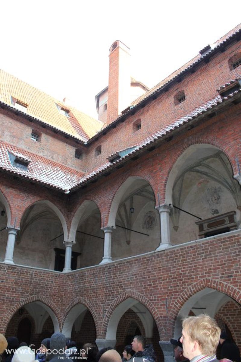 Grupy producenckie zapoznawały się z lokalną historia Lidzbarka Warmińskiego