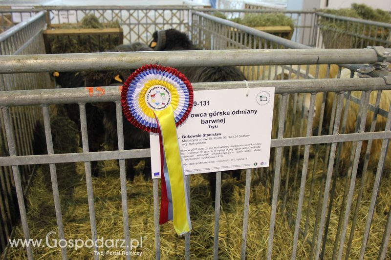 X Wystawa Ras Rodzimych - Wręczenie nagród