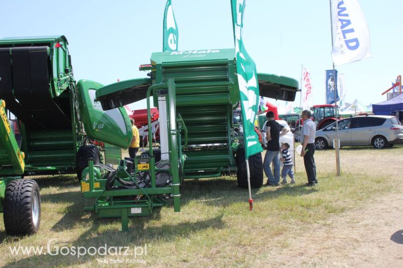 McHale na Opolagra 2012