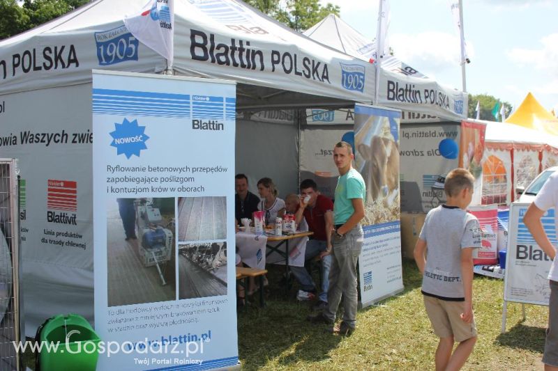 Regionalna Wystawa Zwierząt Hodowlanych i Dni z Doradztwem Rolniczym w Szepietowie-sobota