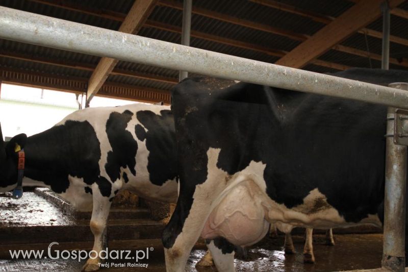 Wyjazd studyjny na farmę Langengrassau w Niemczech