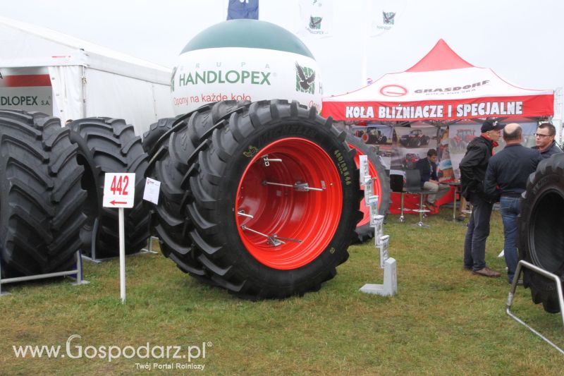 Grasdorf na AGRO SHOW BEDNARY 2017