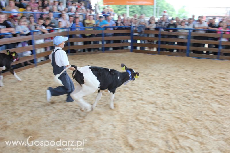 Młody hodowca na XVIII Regionalnej Wystawie Zwierząt Hodowlanych w Szepietowie