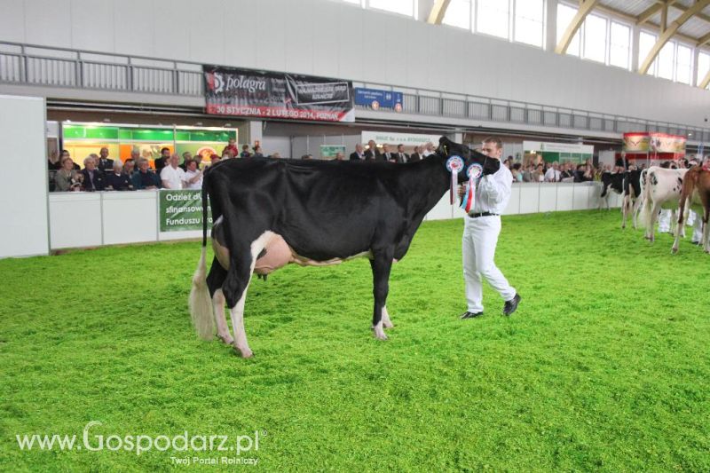 XXVI Krajowa Wystawa Zwierząt Hodowlanych - sobota i niedziela