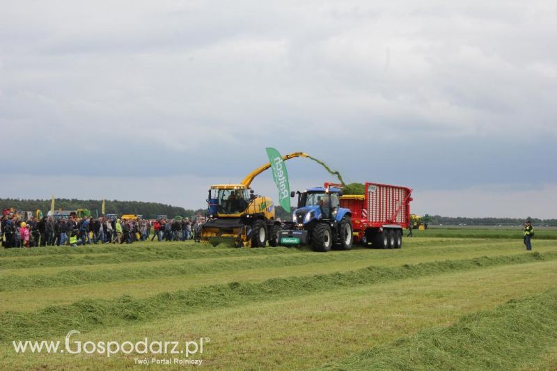 Pokazy maszyn Polskie Zboża Zielone Agro Show 2013