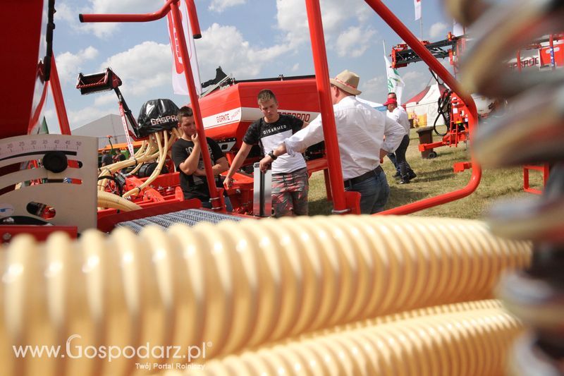 Maschio Gaspardoona na OPOLAGRA Kamień Śląski 2018