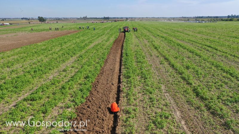 VII Wojewódzki Konkurs Orki z firmą INTER-VAX