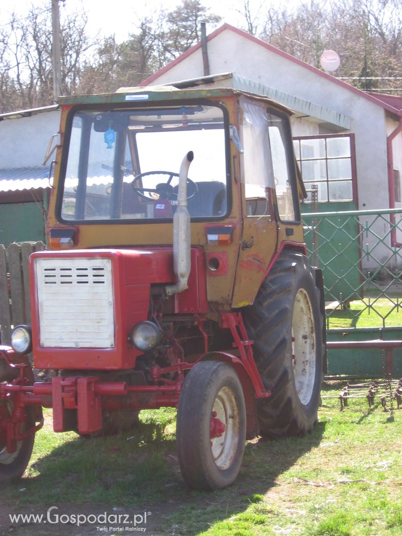władimirec t25a2