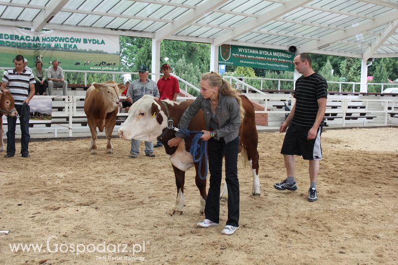 Czempioni XVII Regionalnej Wystawy Zwierząt Hodowlanych Sielinko 2011