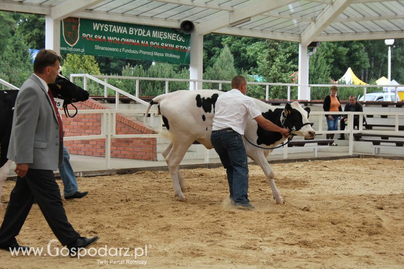 Wystawa bydła Sielinko 2011