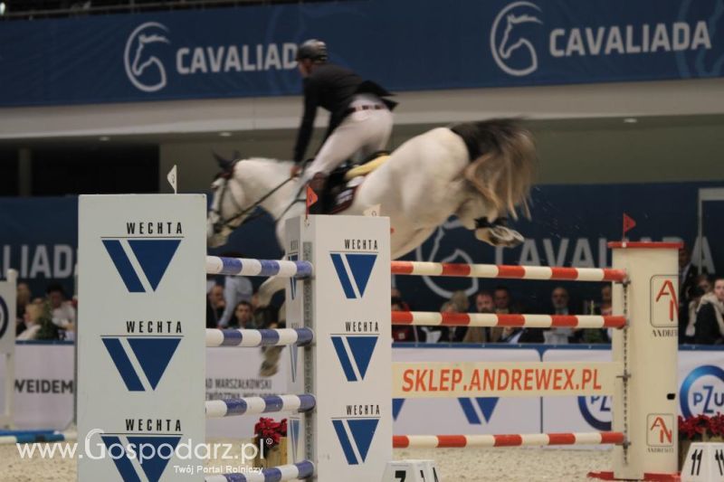 CAVALIADA 2013 w Poznaniu