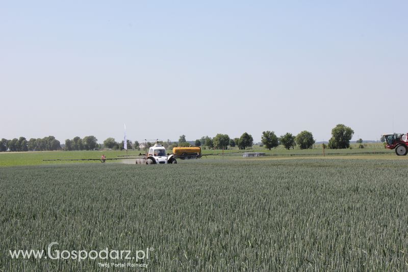 Polskie Zboża 2011 - Piątek 