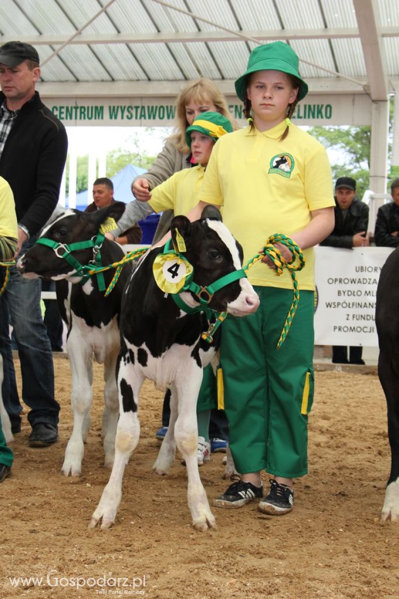 Mali Hodowcy VII Ogólnopolska Wystawa Bydła Hodowlanego w Sielinku 2012