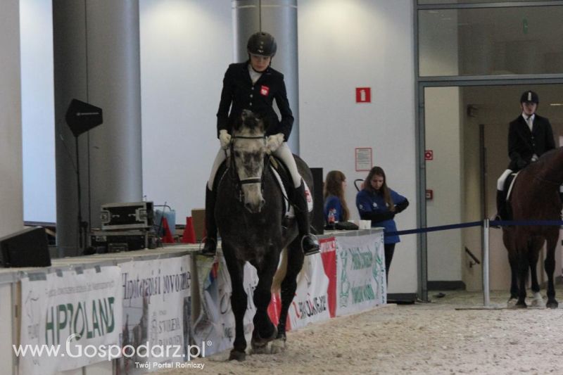 CAVALIADA 2013 w Poznaniu