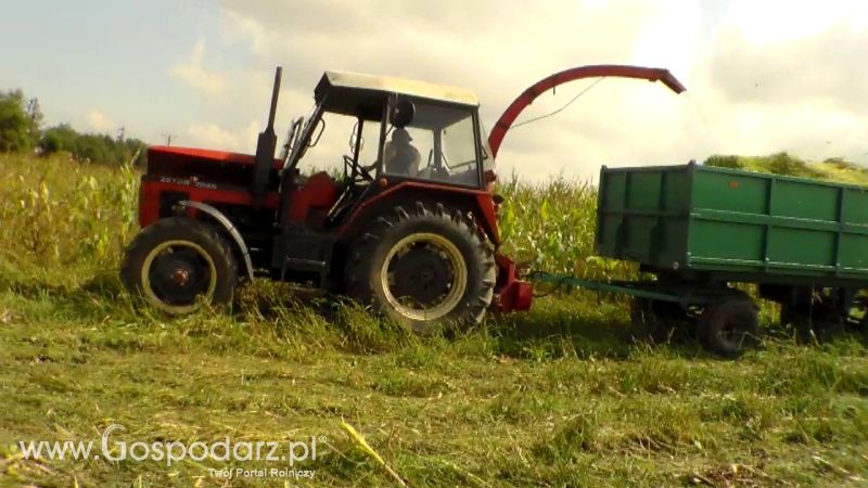 Kiszonka 2013