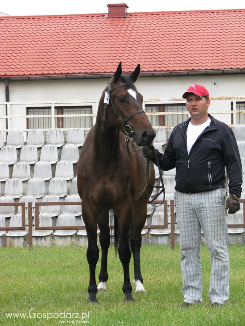 Wystawa Koni Sielinko 2011